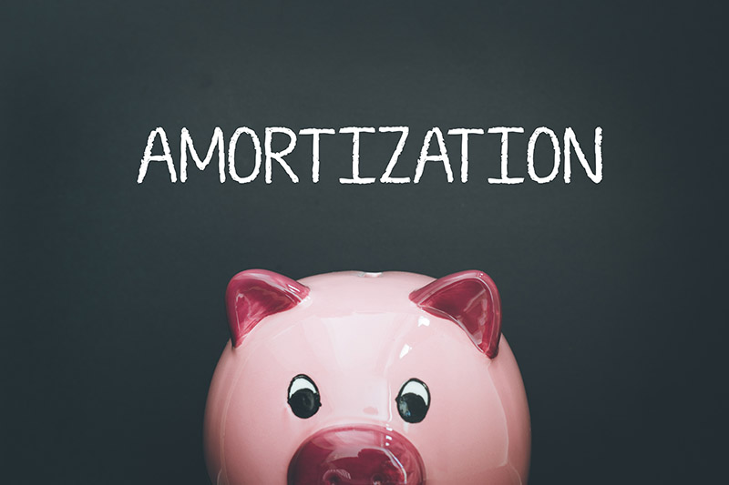 Article discussing an amortization schedule.